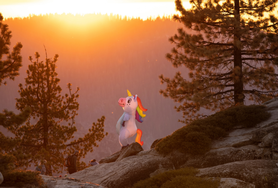 Picture of someone dressed up as a unicorn from a distance standing on a rock amongst big pine trees, with a beautiful orange sunset setting in the background