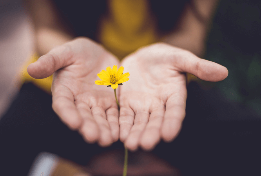 A pair of hands facing upwards and meeting in the middle with a small yellow daisy like flower in-between the middle of the hands joining